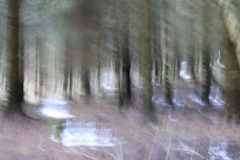 IMG_9652a