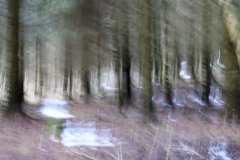IMG_9652a_DxO
