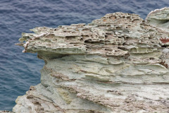 IMG_9304_DxO