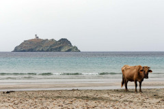 IMG_9337_DxO