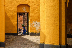 IMG_3544_DxO_1