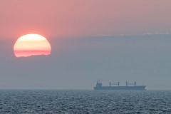 IMG_3785_DxO_1