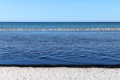 IMG_0446_DxO