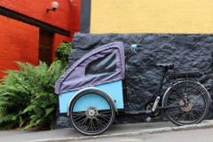 IMG_0695_DxO