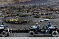 IMG_6124_DxO_1