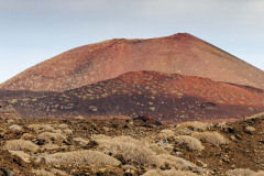 IMG_6475_DxO_1