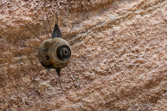 IMG_6843_DxO