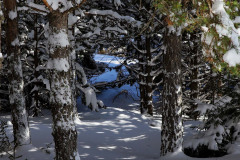 IMG_2136_DxO