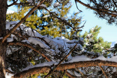 IMG_2149_DxO