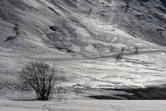 IMG_5548_DxO