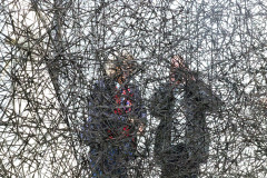 IMG_3294b_DxO
