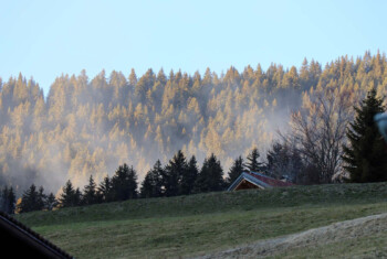 IMG_7572_DxO