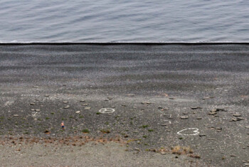IMG_9235_DxO